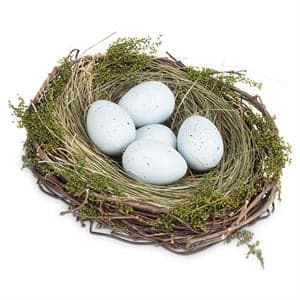 Medium Nest with Eggs