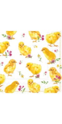 Lunch napkins Chicks
