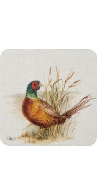Coaster Hunted Pheasant