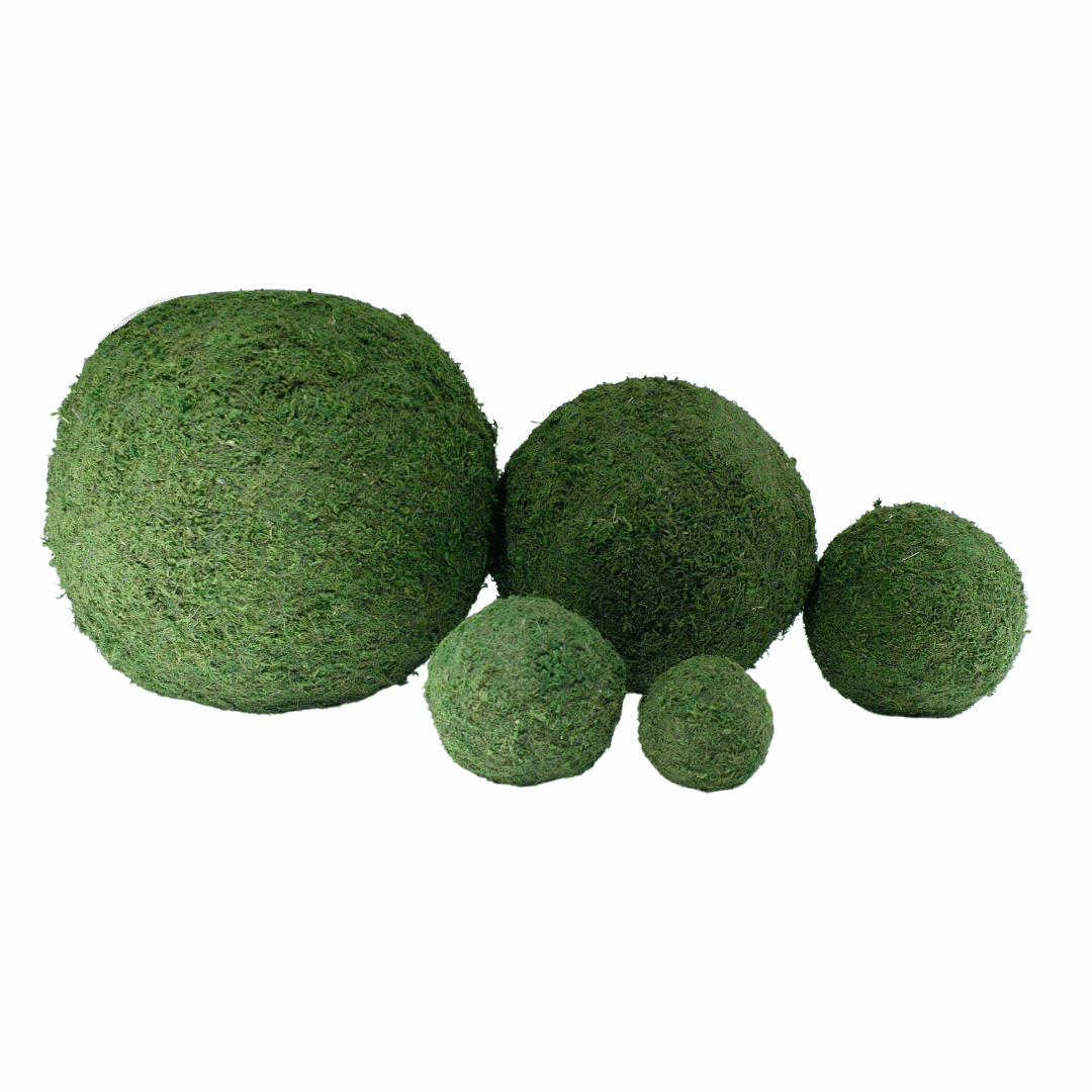 Moss Ball Green 4 inch