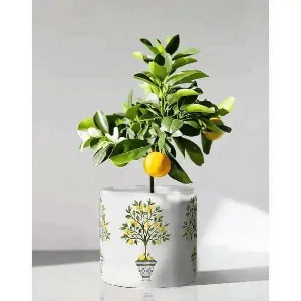 Large Lemon Design Planter Treasures of my HeART