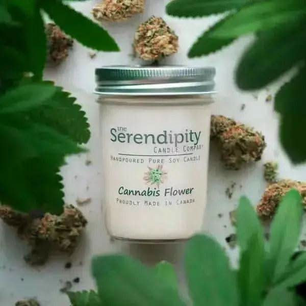 Cannabis Flower Soy Candles Treasures of my HeART