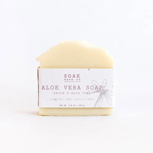 Aloe Vera Soap Bar Treasures of my HeART