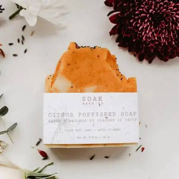 Citrus Poppyseed Soap Bar - Treasures of my HeART