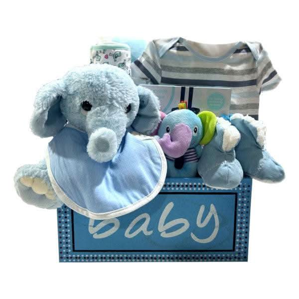 Baby Boy Collection Treasures of my HeART