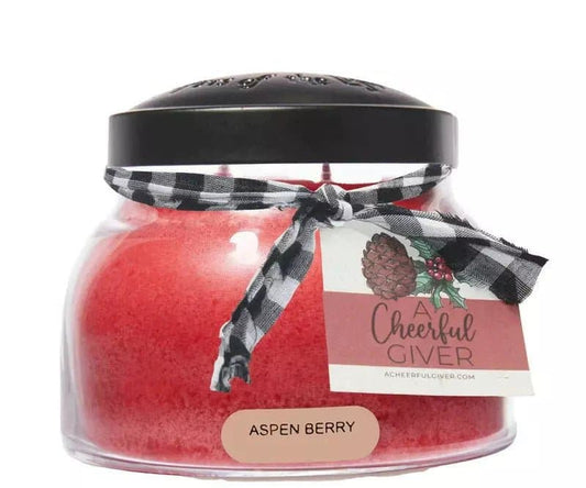 Aspen Berry Scented Candle - 22 oz, Double Wick, Mama Jar | Treasures of my HeART