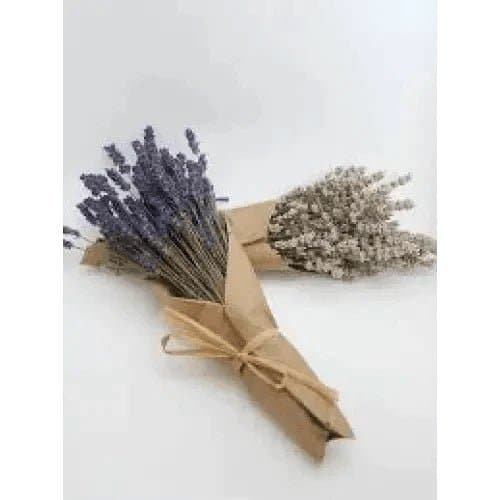 Fresh Lavender Bouquets - Treasures of my HeART