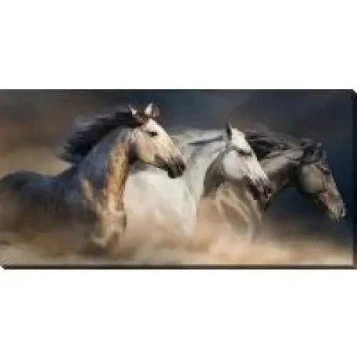 Gallop In The Dust Canvas Print | Treasures of my HeART