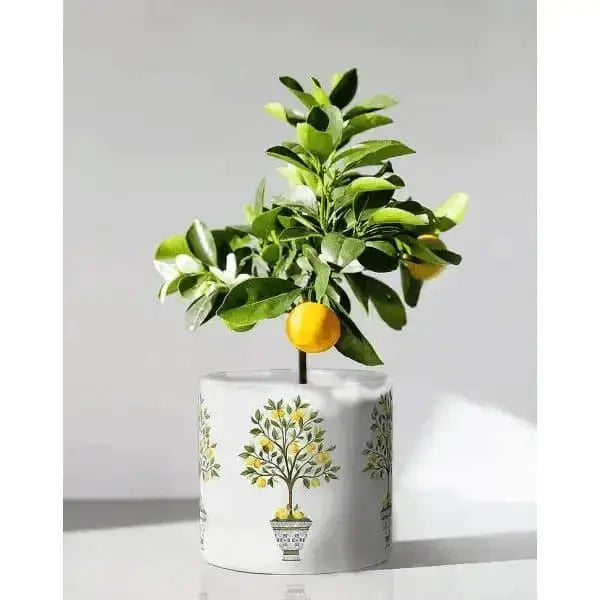 Large Lemon Design Planter | Treasures of my HeART