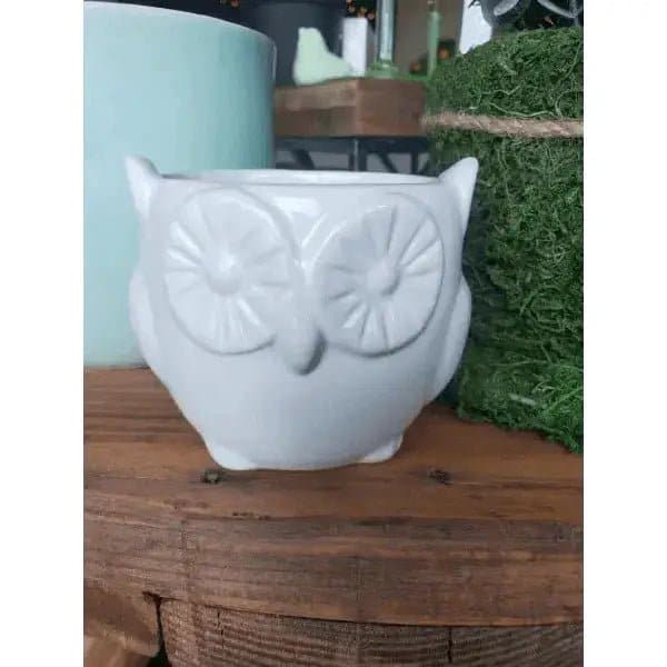 Owl Planter 2.5 Inch | Treasures of my HeART