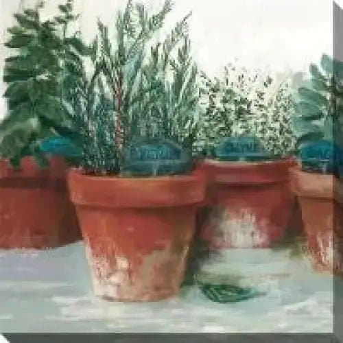 Pots Of Herbs Canvas Print | Treasures of my HeART