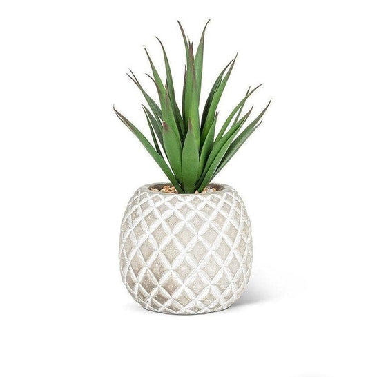 Succulent in Pineapple | Treasures of my HeART